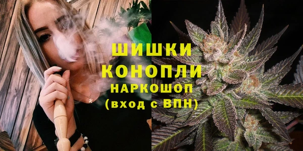 ПСИЛОЦИБИНОВЫЕ ГРИБЫ Белоозёрский