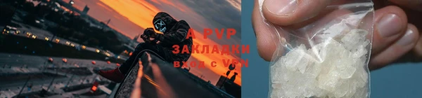 ПСИЛОЦИБИНОВЫЕ ГРИБЫ Белоозёрский